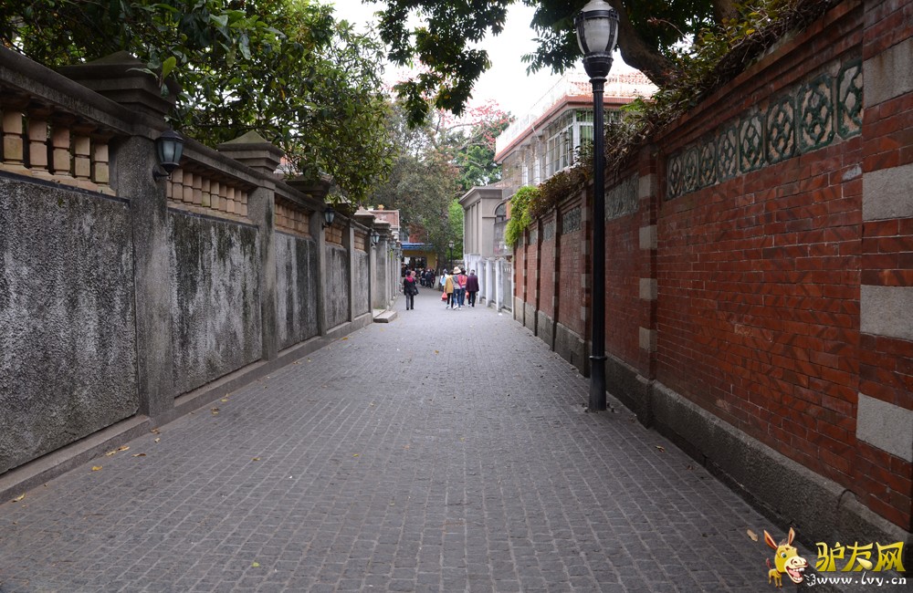 DSC_2716.jpg