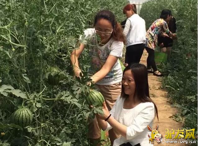 QQ��ͼ20160704210453.jpg